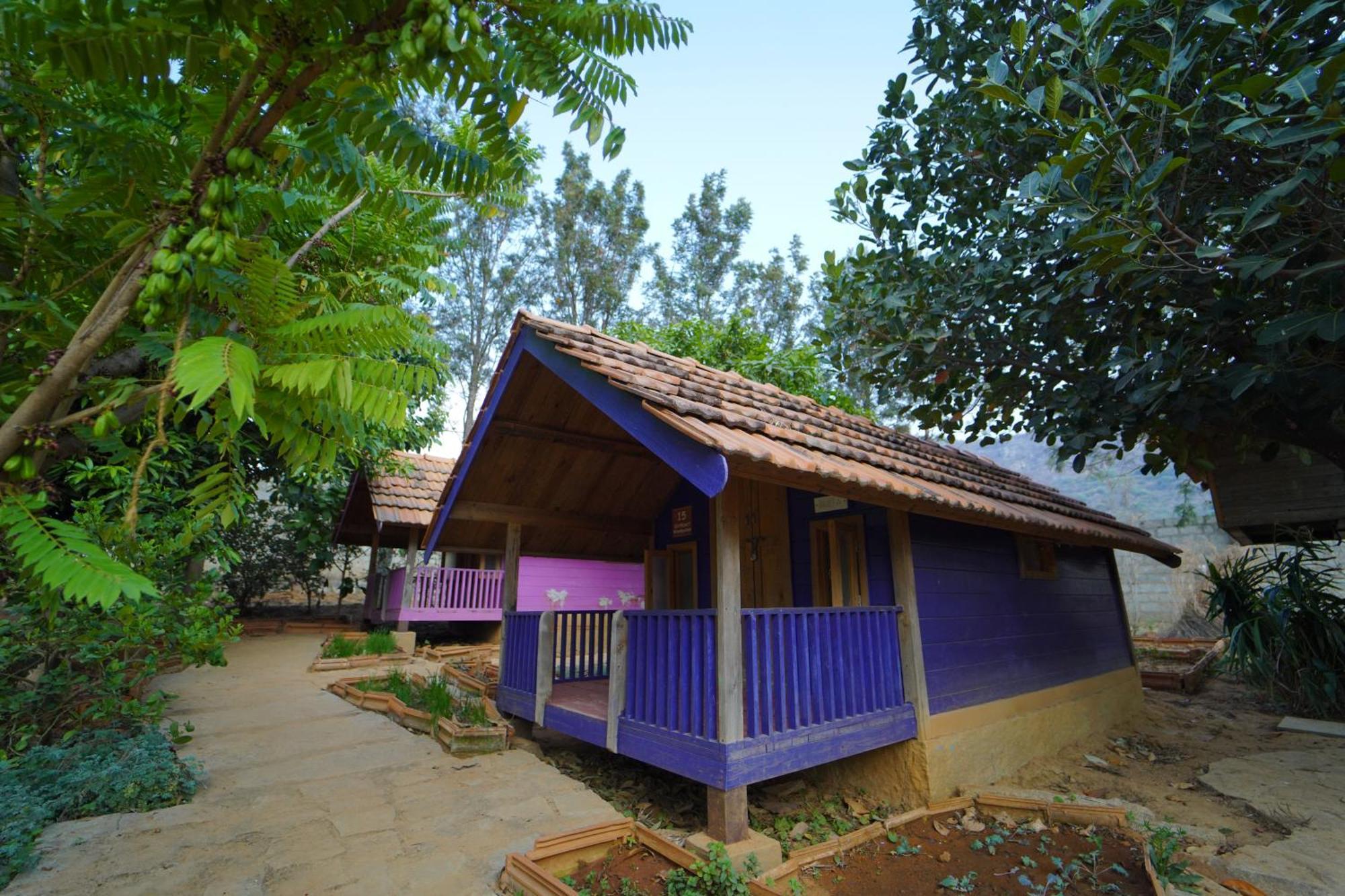 Satya Anantham Eco Retreat - Mystic Hotels Nandigunda Eksteriør billede